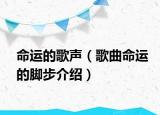 命运的歌声（歌曲命运的脚步介绍）