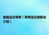 歌曲宝贝乖乖（乖乖宝贝调歌词介绍）