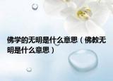 佛学的无明是什么意思（佛教无明是什么意思）