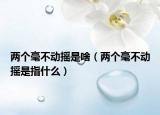 两个毫不动摇是啥（两个毫不动摇是指什么）