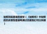 如懿到底是谁的原型（《如懿传》中如懿的历史原型是谁呢通过百度我们可以知道）
