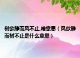 树欲静而风不止,啥意思（风欲静而树不止是什么意思）