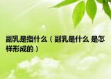 副乳是指什么（副乳是什么 是怎样形成的）