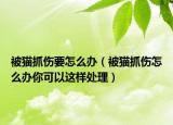 被猫抓伤要怎么办（被猫抓伤怎么办你可以这样处理）