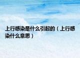 上行感染是什么引起的（上行感染什么意思）