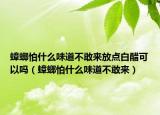 蟑螂怕什么味道不敢来放点白醋可以吗（蟑螂怕什么味道不敢来）