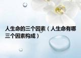 人生命的三个因素（人生命有哪三个因素构成）