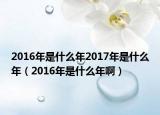 2016年是什么年2017年是什么年（2016年是什么年啊）