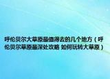呼伦贝尔大草原最值得去的几个地方（呼伦贝尔草原最深处攻略 如何玩转大草原）