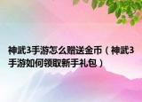 神武3手游怎么赠送金币（神武3手游如何领取新手礼包）