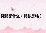 豘鸭是什么（鸭胗是啥）