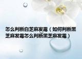 怎么判断白芝麻发霉（如何判断黑芝麻发霉怎么判断黑芝麻发霉）