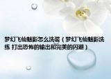 梦幻飞仙魅影怎么洗装（梦幻飞仙魅影洗练 打出恐怖的输出和完美的闪避）