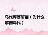 乌代库塞解剖（为什么解剖乌代）