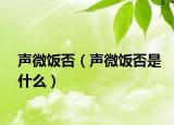声微饭否（声微饭否是什么）