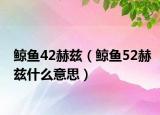鲸鱼42赫兹（鲸鱼52赫兹什么意思）