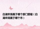 白湖农场属于哪个部门管辖（白湖农场属于哪个市）