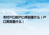 农村户口的户口类别是什么（户口类别是什么）