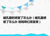 哺乳期时感冒了怎么办（哺乳期感冒了怎么办 新妈咪们需留意）