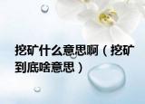 挖矿什么意思啊（挖矿到底啥意思）