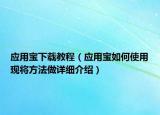 应用宝下载教程（应用宝如何使用现将方法做详细介绍）