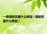 一级调研员是什么级别（调研员是什么级别）