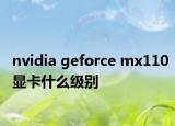 nvidia geforce mx110显卡什么级别