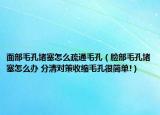 面部毛孔堵塞怎么疏通毛孔（脸部毛孔堵塞怎么办 分清对策收缩毛孔很简单!）