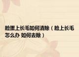 脸蛋上长毛如何清除（脸上长毛怎么办 如何去除）