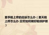 夏季脸上痒的应该怎么办（夏天脸上痒怎么办 日常如何做好脸部护理）