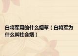 白将军用的什么烟草（白将军为什么叫社会烟）