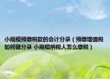 小规模预缴税款的会计分录（预缴增值税如何做分录 小规模纳税人怎么缴税）