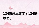 124啥意思数字（124啥意思）