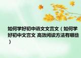 如何学好初中语文文言文（如何学好初中文言文 高效阅读方法有哪些）