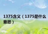 1375含义（1375是什么意思）