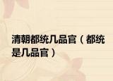 清朝都统几品官（都统是几品官）