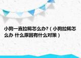 小狗一直拉稀怎么办?（小狗拉稀怎么办 什么原因有什么对策）
