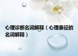 心理诊断名词解释（心理表征的名词解释）