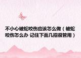 不小心被蛇咬伤应该怎么做（被蛇咬伤怎么办 记住下面几招很管用）