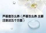 芦荟是怎么养（芦荟怎么养 主要注意这五个方面）