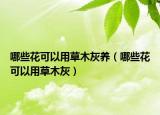 哪些花可以用草木灰养（哪些花可以用草木灰）