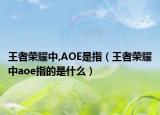 王者荣耀中,AOE是指（王者荣耀中aoe指的是什么）