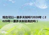 现在可以一妻多夫制吗?2020年（2020年一妻多夫制是真的吗）