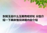 东陵玉是什么玉戴有啥好处 分别介绍一下具体情况详细内容介绍