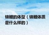 锦鲤的体型（锦鲤体质是什么样的）