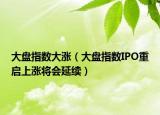 大盘指数大涨（大盘指数IPO重启上涨将会延续）