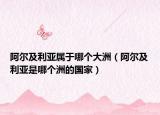 阿尔及利亚属于哪个大洲（阿尔及利亚是哪个洲的国家）