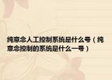 纯意念人工控制系统是什么号（纯意念控制的系统是什么一号）