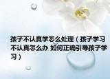 孩子不认真学怎么处理（孩子学习不认真怎么办 如何正确引导孩子学习）