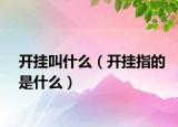 开挂叫什么（开挂指的是什么）